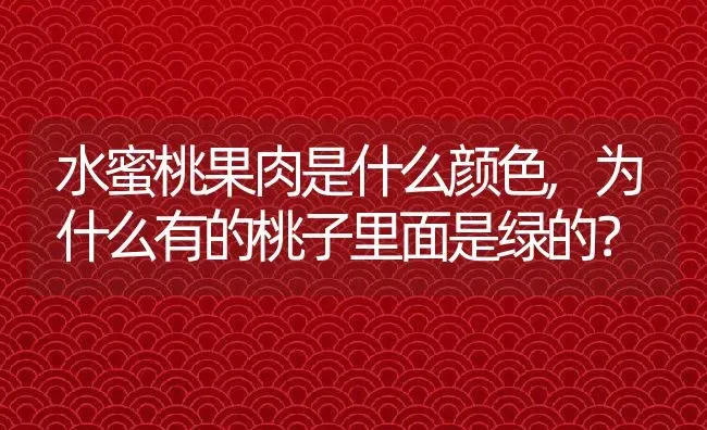 水蜜桃果肉是什么颜色,为什么有的桃子里面是绿的？ | 养殖常见问题