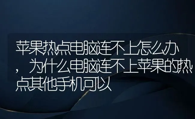 苹果热点电脑连不上怎么办,为什么电脑连不上苹果的热点其他手机可以 | 养殖常见问题