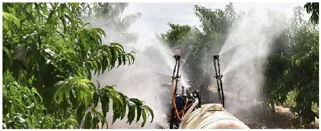 氧化乐果不能打什么树 | 生活常识