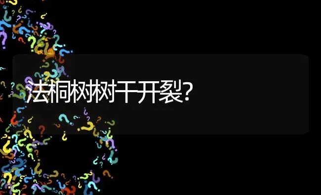 法桐树树干开裂? | 养殖问题解答