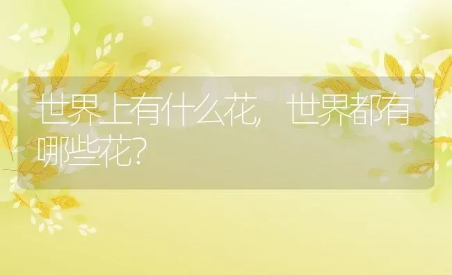 世界上有什么花,世界都有哪些花？ | 养殖常见问题