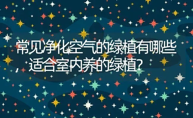 常见净化空气的绿植有哪些,适合室内养的绿植？ | 养殖常见问题