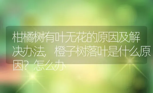 柑橘树有叶无花的原因及解决办法,橙子树落叶是什么原因？怎么办 | 养殖常见问题