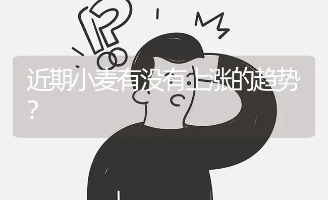 近期小麦有没有上涨的趋势? | 养殖问题解答