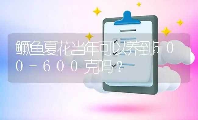鳜鱼夏花当年可以养到500-600克吗? | 养殖问题解答