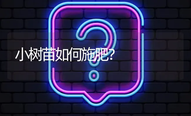 小树苗如何施肥? | 养殖问题解答