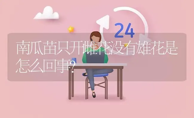 南瓜苗只开雌花没有雄花是怎么回事? | 养殖问题解答