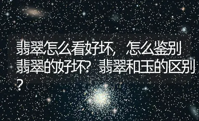 翡翠怎么看好坏,怎么鉴别翡翠的好坏?翡翠和玉的区别？ | 养殖常见问题