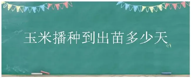 玉米播种到出苗多少天 | 科普知识