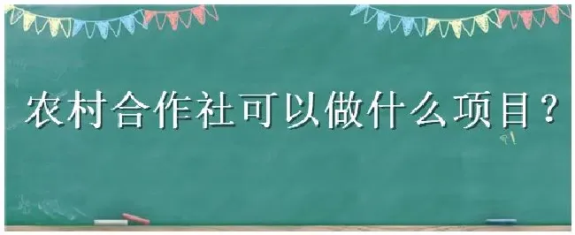 农村合作社可以做什么项目 | 生活常识