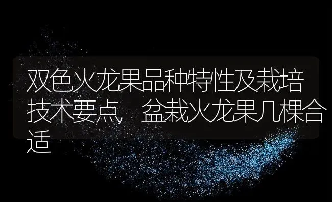 双色火龙果品种特性及栽培技术要点,盆栽火龙果几棵合适 | 养殖常见问题