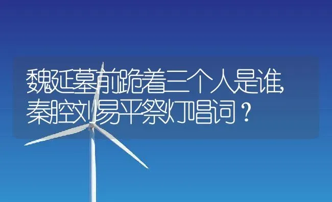 魏延墓前跪着三个人是谁,秦腔刘易平祭灯唱词？ | 养殖常见问题