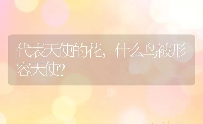 代表天使的花,什么鸟被形容天使？ | 养殖常见问题