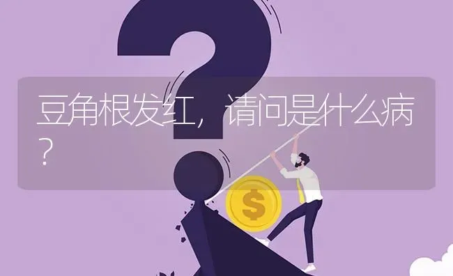 豆角根发红,请问是什么病? | 养殖问题解答