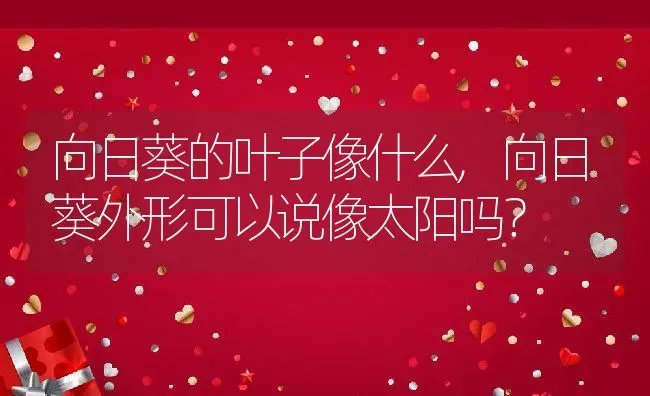 向日葵的叶子像什么,向日葵外形可以说像太阳吗？ | 养殖常见问题