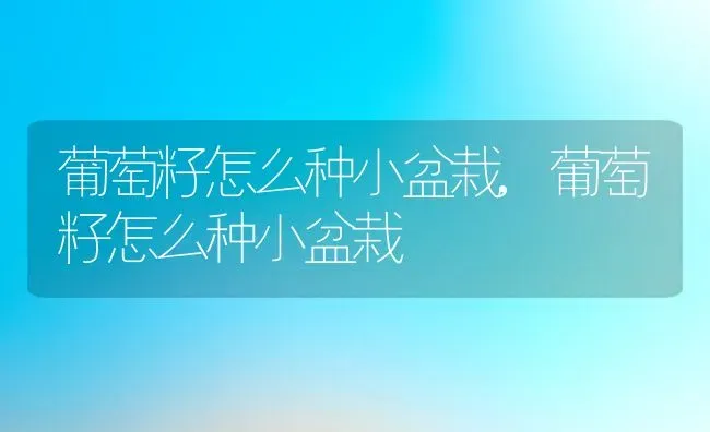 葡萄籽怎么种小盆栽,葡萄籽怎么种小盆栽 | 养殖常见问题