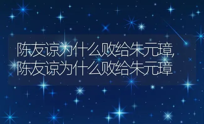 陈友谅为什么败给朱元璋,陈友谅为什么败给朱元璋 | 养殖常见问题