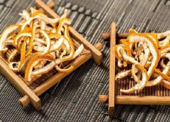 植物常识问题|陈皮用什么桔子皮最好 什么样桔子皮可以做新会陈皮