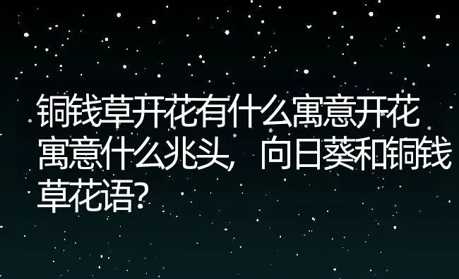 铜钱草开花有什么寓意开花寓意什么兆头,向日葵和铜钱草花语？ | 养殖常见问题