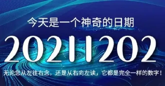 植物常识问题|20211202完全对称日什么意思 寓意、表白、祝福都送上