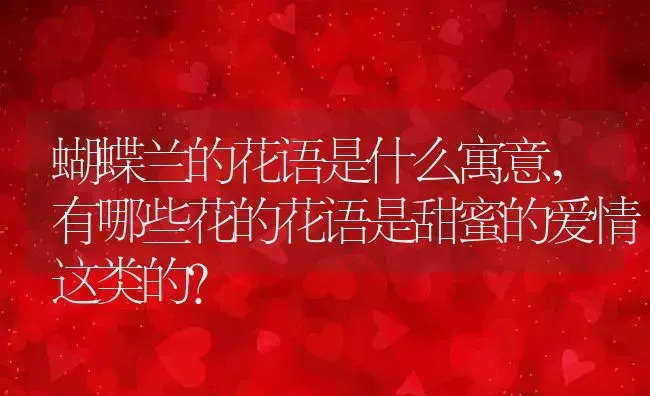 蝴蝶兰的花语是什么寓意,有哪些花的花语是甜蜜的爱情这类的？ | 养殖常见问题