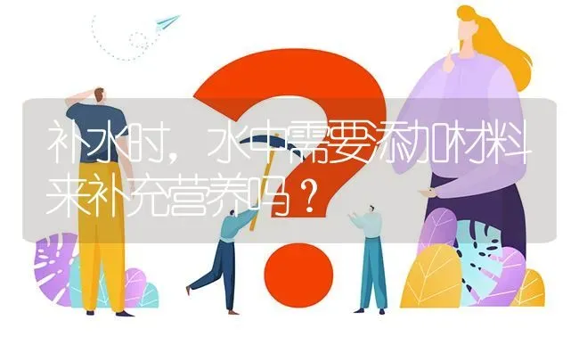 补水时,水中需要添加材料来补充营养吗? | 养殖问题解答