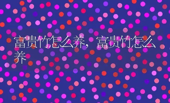富贵竹怎么养,富贵竹怎么养 | 养殖常见问题