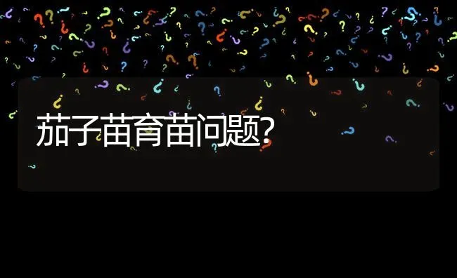 茄子苗育苗问题? | 养殖问题解答