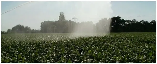 植物什么时候浇水好 | 农业问题