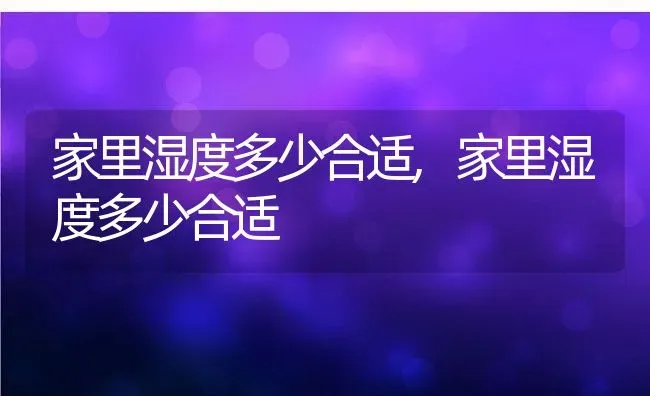 家里湿度多少合适,家里湿度多少合适 | 养殖常见问题