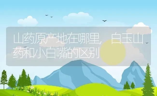 山药原产地在哪里,白玉山药和小白嘴的区别 | 养殖常见问题