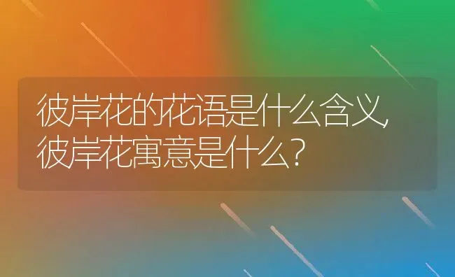 彼岸花的花语是什么含义,彼岸花寓意是什么？ | 养殖常见问题