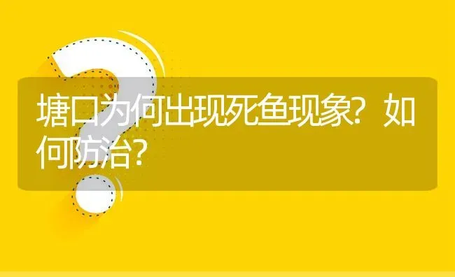 塘口为何出现死鱼现象?如何防治? | 养殖问题解答