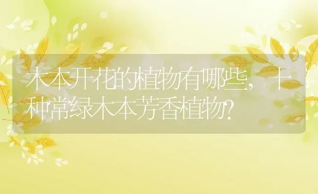 木本开花的植物有哪些,十种常绿木本芳香植物？ | 养殖常见问题