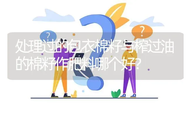 处理过的包衣棉籽与榨过油的棉籽作肥料哪个好? | 养殖问题解答