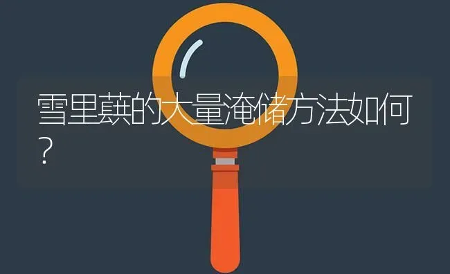 雪里蕻的大量淹储方法如何? | 养殖问题解答