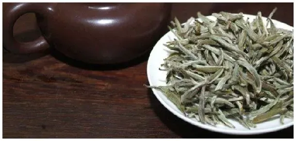 白茶和绿茶区别 | 农业常识