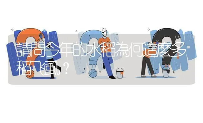 請問今年的水稻為何這麼多稻飞虱? | 养殖问题解答