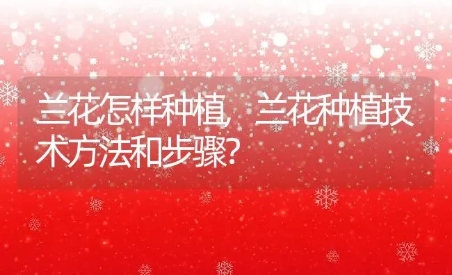 兰花怎样种植,兰花种植技术方法和步骤？ | 养殖常见问题