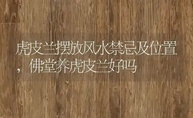 多肉长出气生根是什么原因引起的,多肉换盆长出气生根以后如何浇水？ | 养殖常见问题
