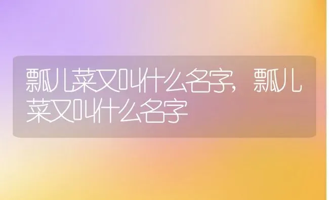 瓢儿菜又叫什么名字,瓢儿菜又叫什么名字 | 养殖常见问题
