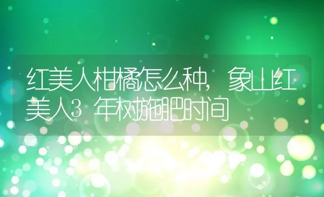 红美人柑橘怎么种,象山红美人3年树施肥时间 | 养殖常见问题