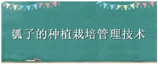 瓠子的种植栽培管理技术 | 三农答疑