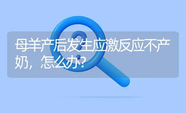 母羊产后发生应激反应不产奶,怎么办? | 养殖问题解答