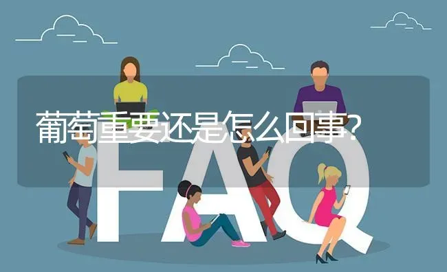 葡萄重要还是怎么回事? | 养殖问题解答