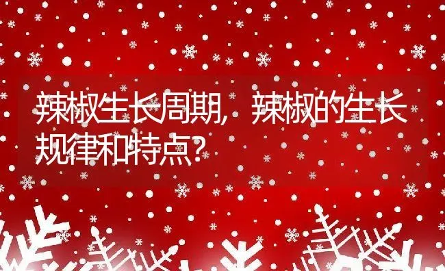 辣椒生长周期,辣椒的生长规律和特点？ | 养殖常见问题