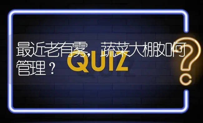 最近老有雾,蔬菜大棚如何管理? | 养殖问题解答