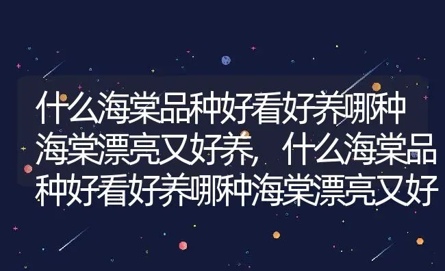 什么海棠品种好看好养哪种海棠漂亮又好养,什么海棠品种好看好养哪种海棠漂亮又好养 | 养殖常见问题