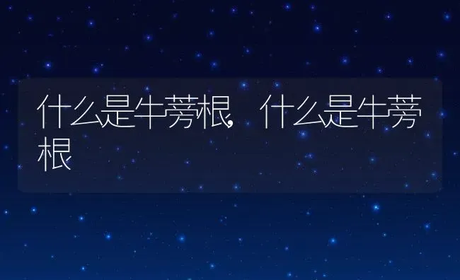 什么是牛蒡根,什么是牛蒡根 | 养殖常见问题
