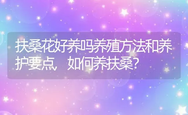 扶桑花好养吗养殖方法和养护要点,如何养扶桑？ | 养殖常见问题